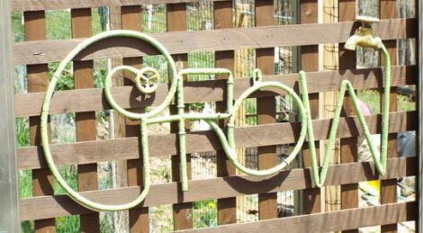 Grow it Yourself: My Advice to Beginning Gardeners Image